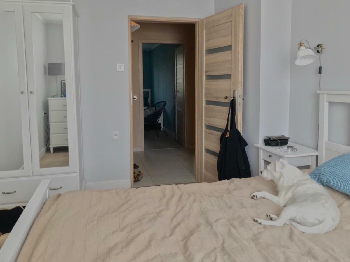 Oficyna Winiarza Apartment